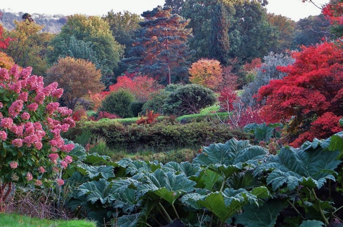 High Beeches Garden Autumn Sussex high-beeches-garden-sussex-autumn