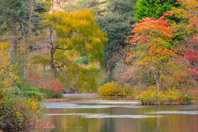 Leonardslee Gardens Sussex in Autumn leonardslee-gardens-autumn