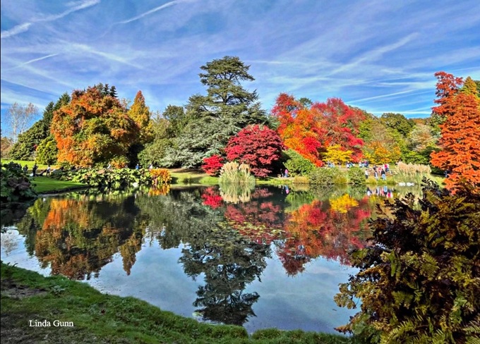 Sheffield Park Autumn Colours Sussex sheffield-park-sussex-autumn