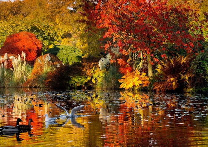 wakehurst-autumn-colours-sussex