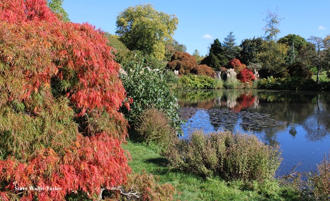 Wakehurst Autumn Colours Sussex wakehurst-garden-in-autumn