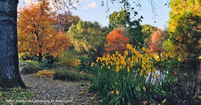autumn-colours-hampshire