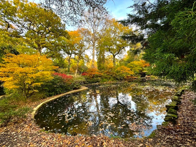 exbury-gardens-autumn-colours