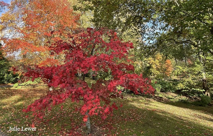 furzey-gardens-oct25