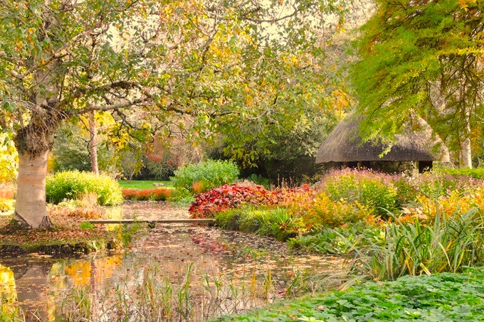 longstock-water-gardens-autumn-colours
