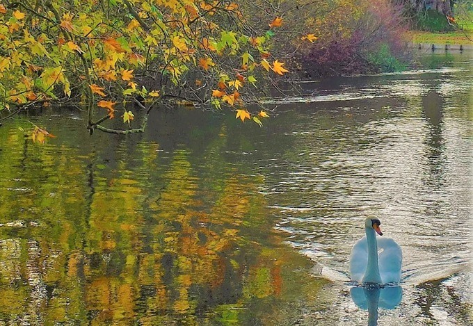mottisfont-abbey-autumn