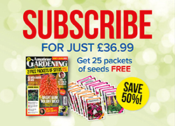 amateur-gardening-subscription