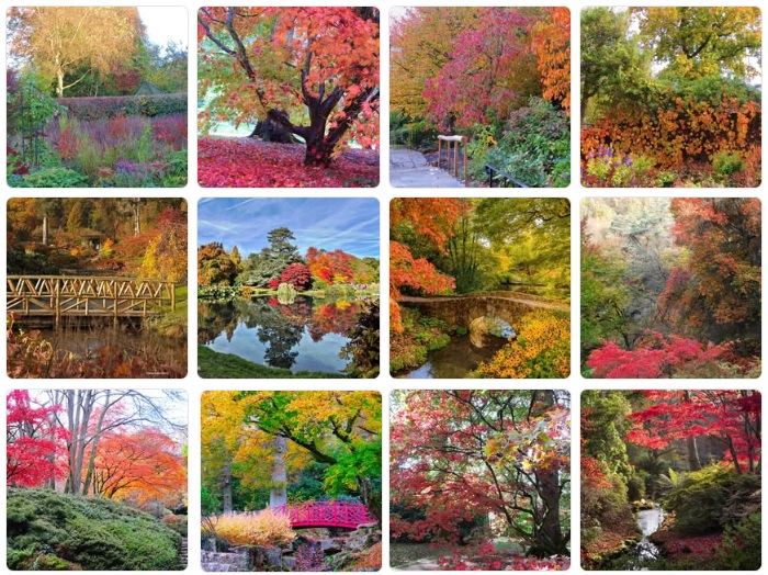 autumn-colours-near-me-2026
