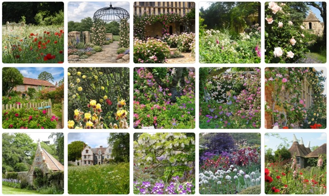 English Rose Gardens near me english-rose-gardens-near-me
