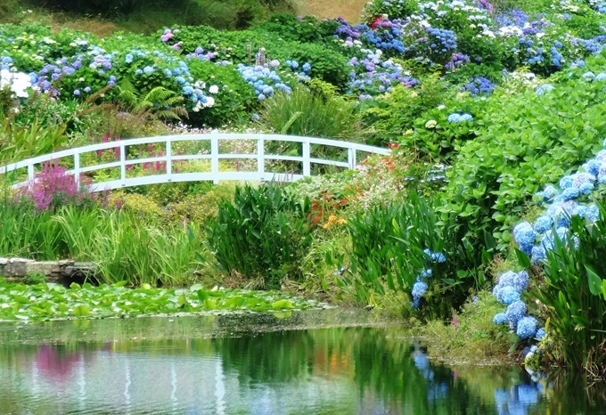 gardens-in-cornwall