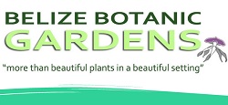 belize-botanic-garden