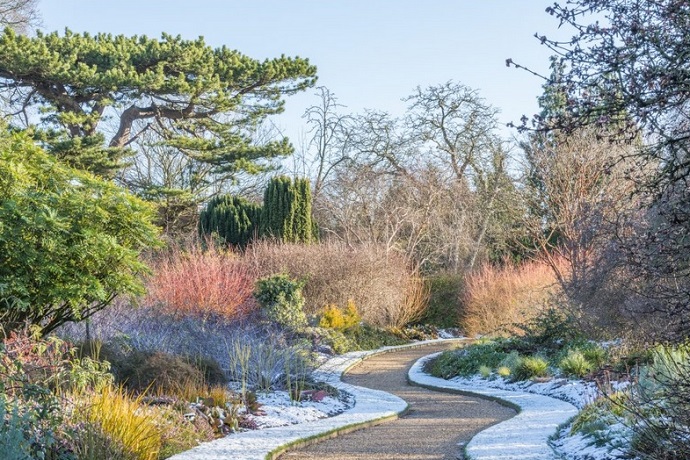 cambridge-botanic-garden-winter