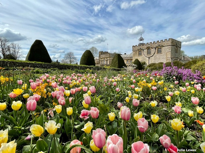 forde-abbey-tulip-displays