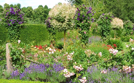 erddig-house-garden