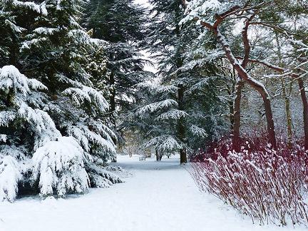 westonbirt arboretum