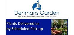denmans-garden-nursery