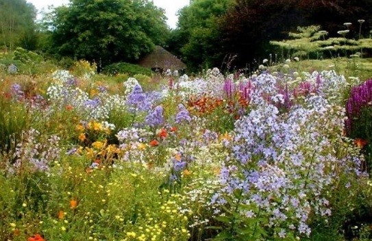 garden-in-devon