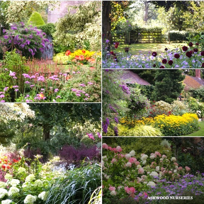 gardens-to-visit-near-me-september
