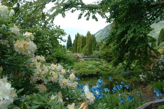 garden-holidays-scotland-benmore-botanic-garden