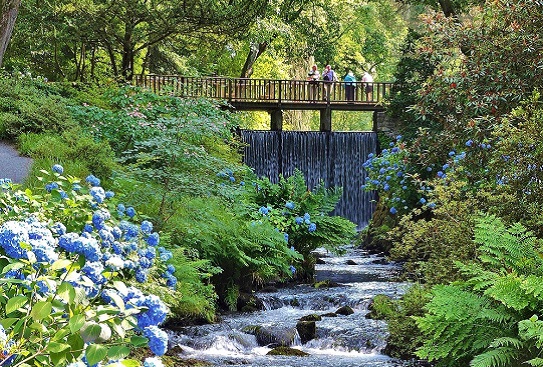 bodnant-gardens-news