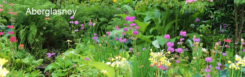 gardens-carmarthenshire