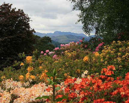 gardens in cumbria