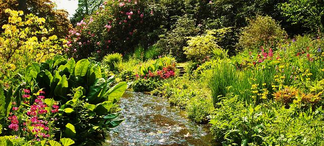 Gardens in Dorset - Minterne