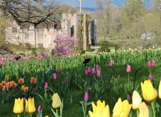 hever-castle-spring