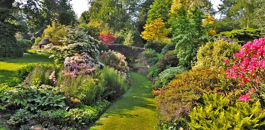 bressingham-garden-norfolk-2023