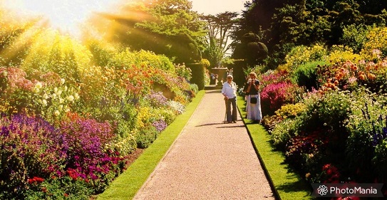 Gardens Open Evenings Summer 2024 - Great British Gardens