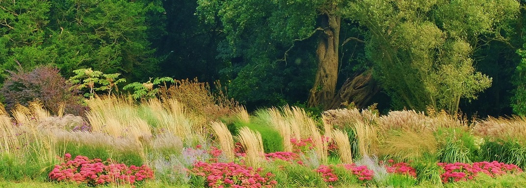 gardens-to-visit-pembrokeshire