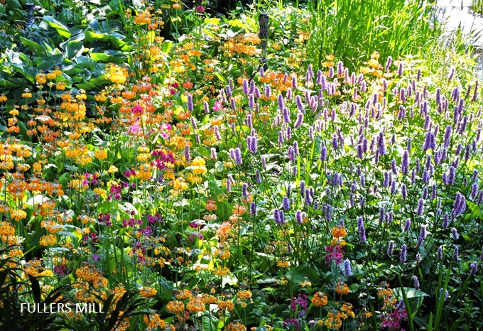 gardens-in-suffolk