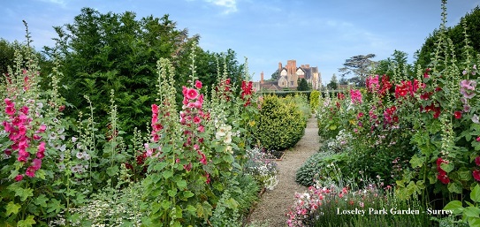 Gertrude Jekyll®