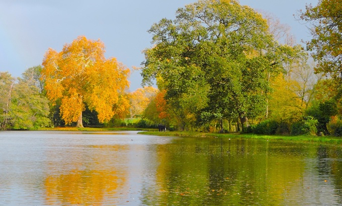 Painshill Park Trees painshill-park-trees