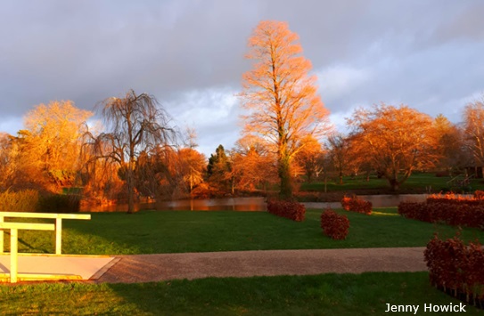 wakehurst-winter