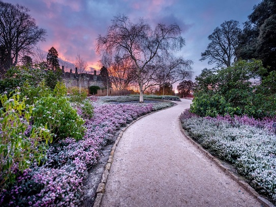 wakehurst