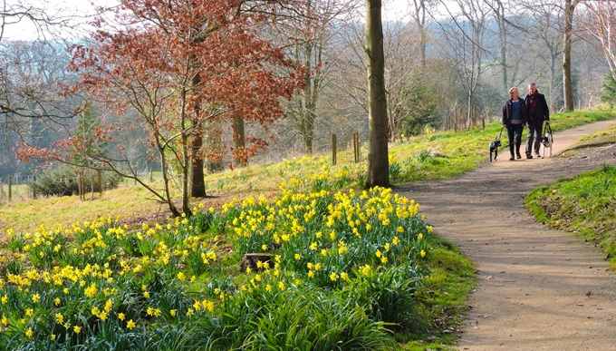 batsford-arboretum-2025