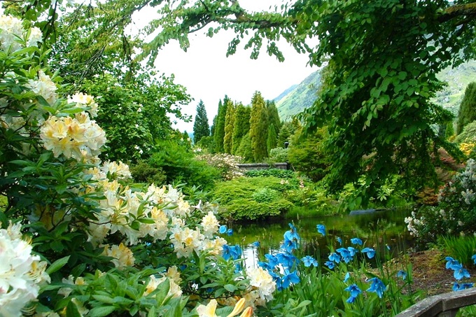 benmore-botanic-garden-scotland