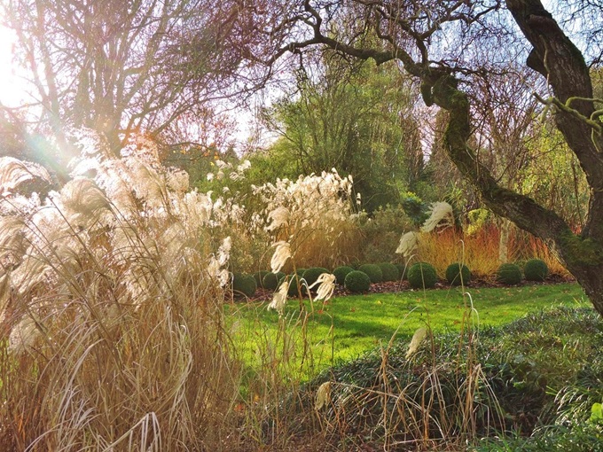 hillier-winter-garden