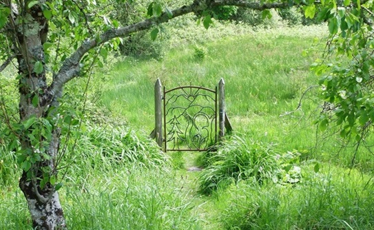 dyffryn-fernant-garden