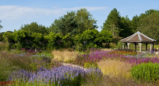 pensthorpe-prairie-garden-oudolf