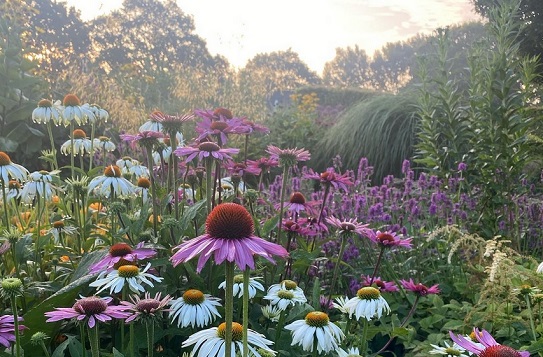 sussex-prairie-gardens