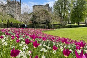 Arundel Castle