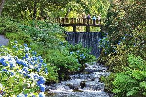 Bodnant Garden
