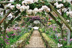 Mottisfont Abbey Rose Garden