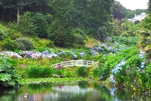 Trebah Gardens
