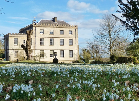 newark-park-snowdrops-2025