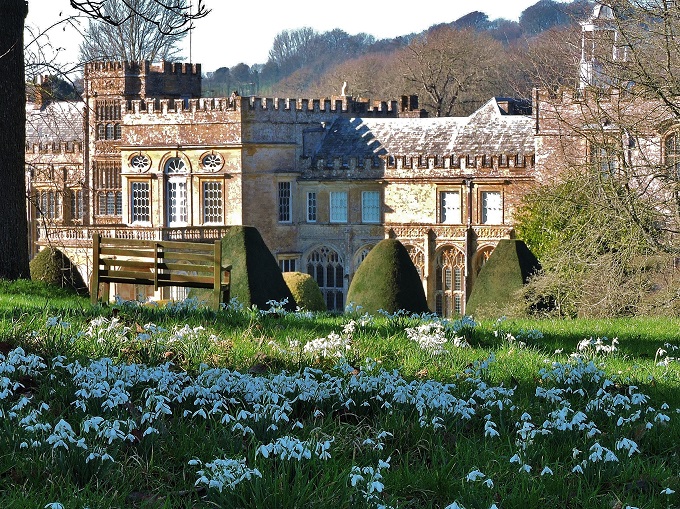 Snowdrops in Somerset Forde Abbey snowdrops-somerset-forde-abbey