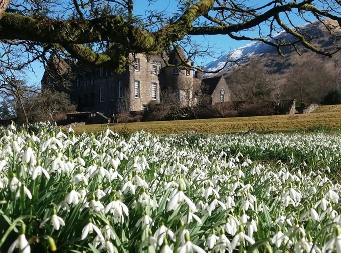 ardkinglas-snowdrops