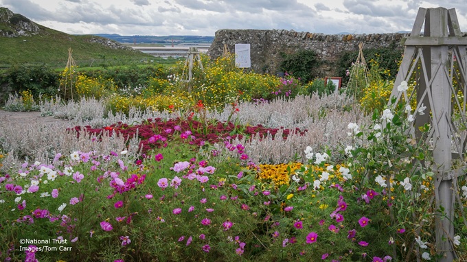 lindisfarne-garden-northumberland lindisfarne-garden